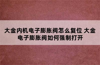 大金内机电子膨胀阀怎么复位 大金电子膨胀阀如何强制打开